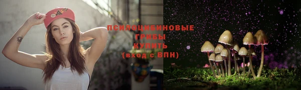 mix Баксан