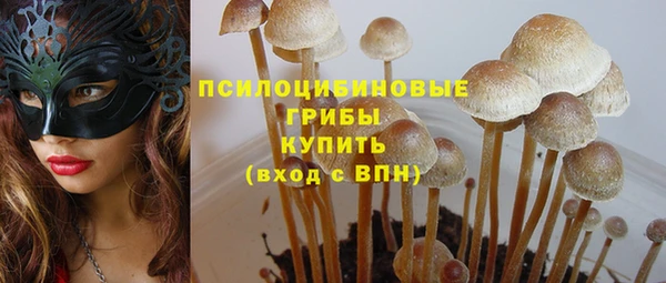 гашик Балахна