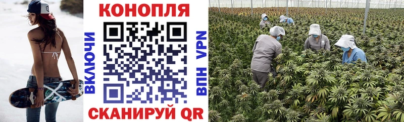 цены   Макарьев  сайты даркнета состав  Бошки марихуана марихуана  ОМГ ОМГ как войти 